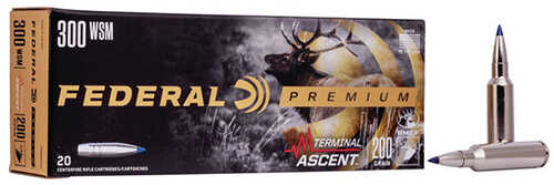 Fed Terminal Ascent 300WSM 200Gr 20